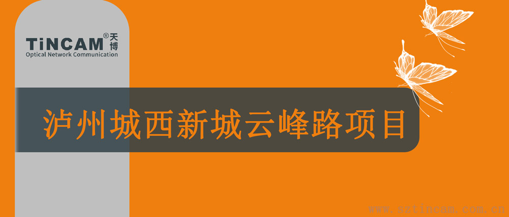 泸州城西新城云峰路项目.jpg