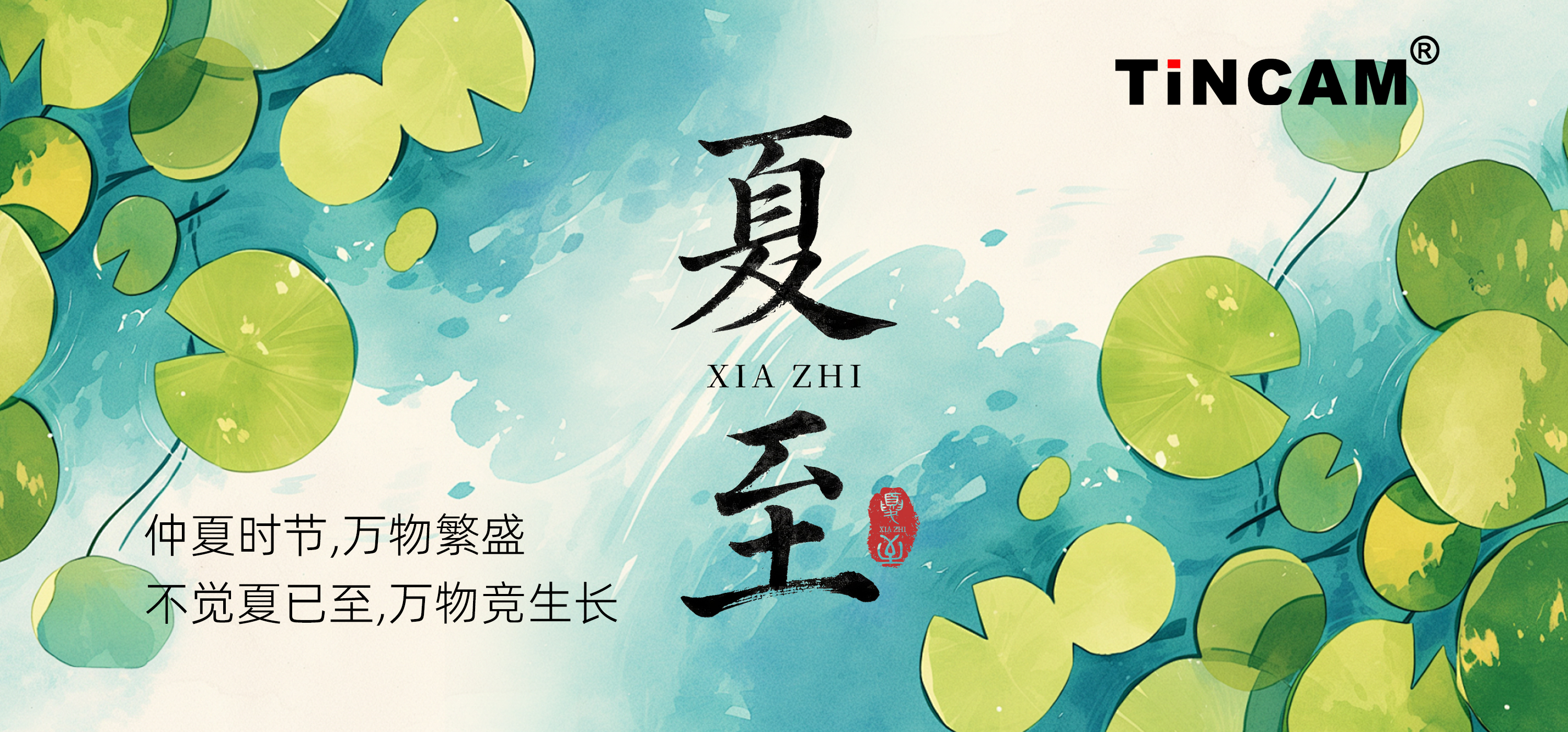 夏至：盛夏启幕，美好将至